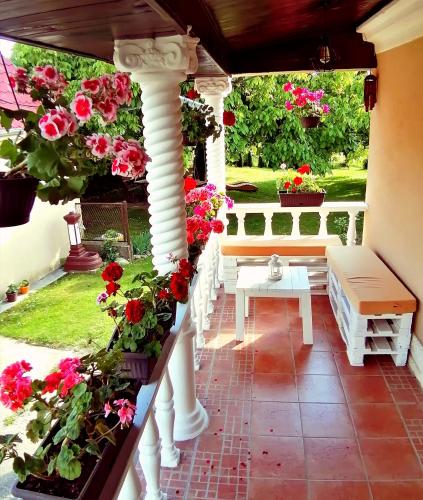 . Vrdnik apartmani Sara