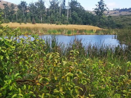 Thokazi Haven Guest House & Backpacker in 烏倫迪