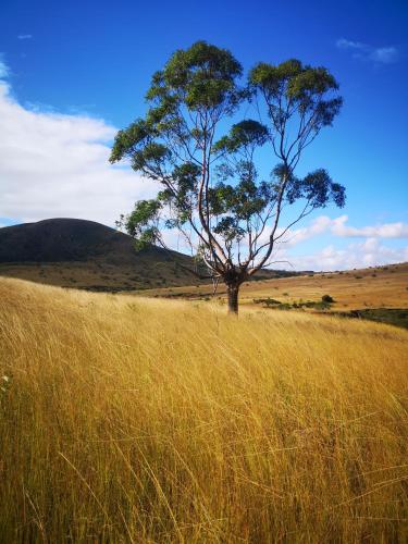 Thokazi Haven Guest House & Backpacker