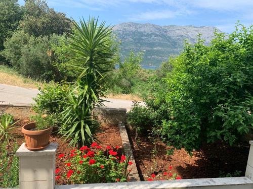  Apartments Rina in Korčula