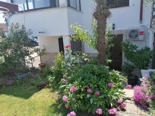  Apartman Vlado in Novigrad