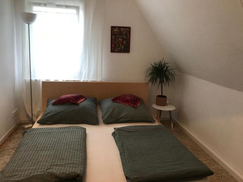 Ferieninrosengarten 1 Zi Appartement 190 cm Deckenhöhe ODER große 4 Zi DG WHG