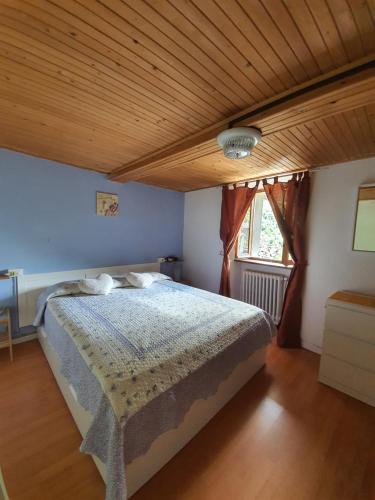 Coccinella House - Rovesca