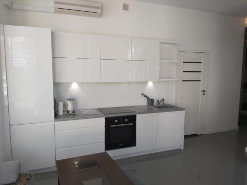 Apartament 2 SUPER VIP Królewiecka centrum