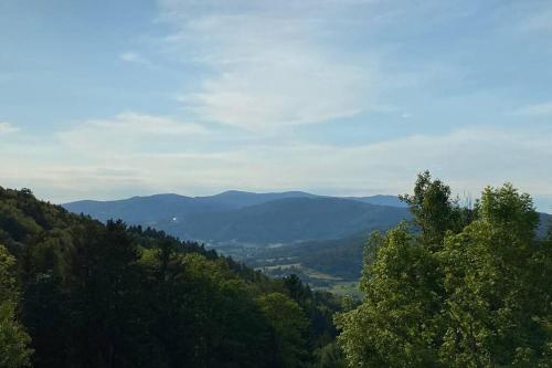 URIG / Mitten im Bayerischen Wald + Schonblick + NETFLIX