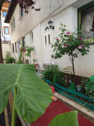 Green Gate Apartments - image 9