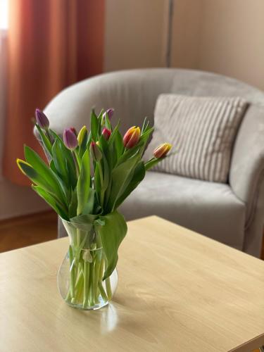  CentROOM Nagykanizsa, Ferienwohnung in Nagykanizsa