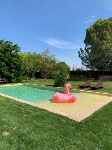 Le Patio, chambres d hôtes pour adultes en Camargue, possibilité de naturisme à la piscine, - Accommodation - Aimargues