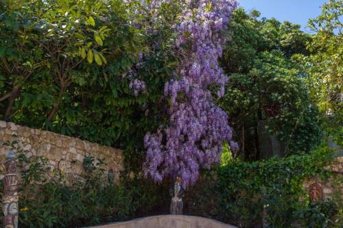 Apartment Luna i Lucky