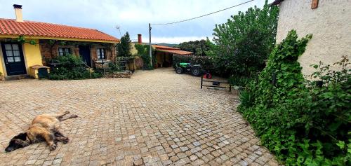 Quinta do Chao DOrdem