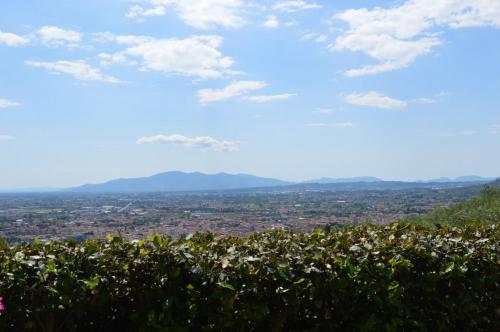 Il Podere di Tacito 4