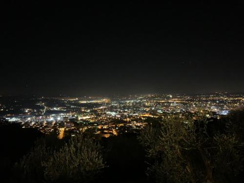 Il Podere di Tacito 2