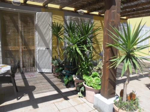 Appartamenti Claudia - image 3