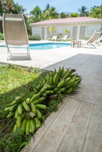 Hôtel Les Bananiers