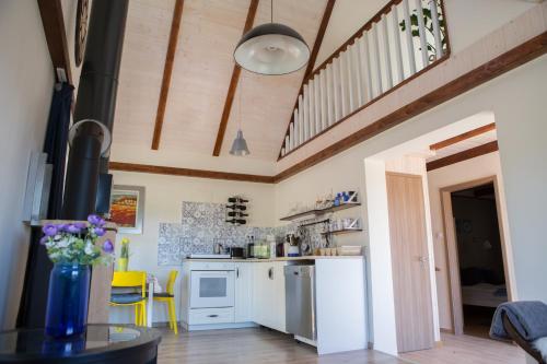 Kitchen, Dandelion Vendeghazak in Sarvar
