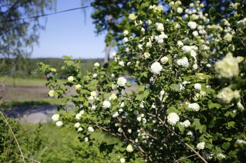 Semesterhemmet Sommarro