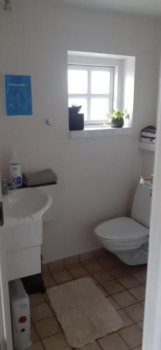 Cozy tiny room, mini kitchen and bathroom, Otterup (foto 10)