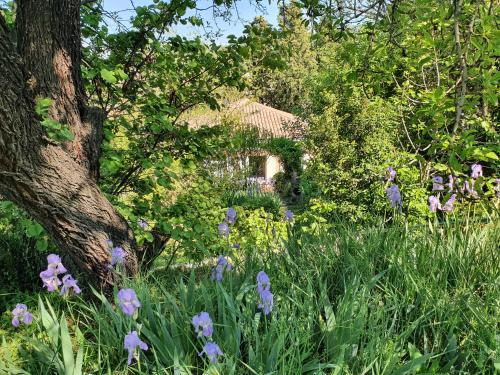 La Licorne gîte à louer Les Agnels