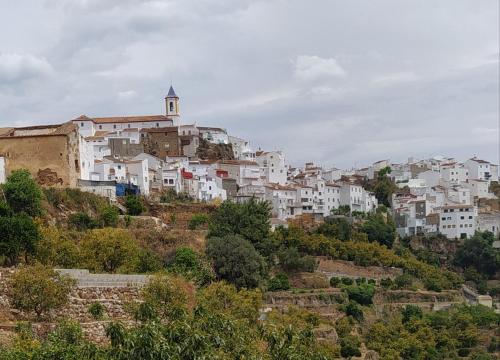 Finca Las Morenas