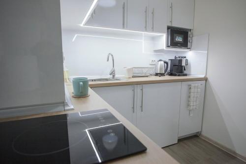 Landmark 1BDR Apartment in Center, next to Metro, Sofia (Foto 8)