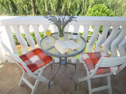 Holiday apartment in Privlaka with sea view, balcony, air conditioning, W-LAN 667-2