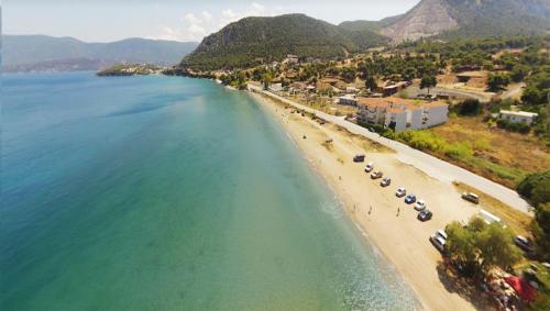 The House of Art in 이스트미아