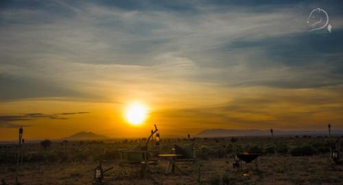 Amanya 1-Bed Leopard Tent Amanya 1-Bed Leopard Tent