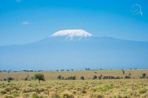 Amanya 1-Bed Leopard Tent Amanya 1-Bed Leopard Tent