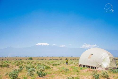 Amanya 2-Bed Lioness Family Tent in Amboseli