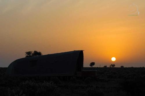 Amanya 2-Bed Lioness Family Tent in Amboseli