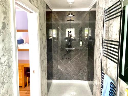Gwesty Gadlys Hotel 4