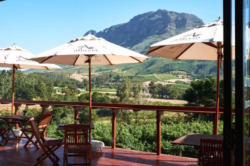 Alluvia Boutique Winery & Luxury Accommodation 4