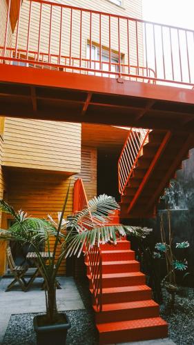 Porto Pim Bay - image 7