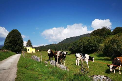 Larici Rooms