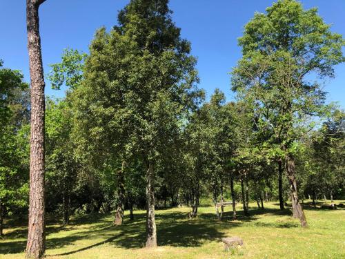  Toscana Verde in Laterina