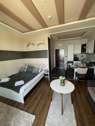 Milmari I2 Lux Apartman Obradovic - image 3