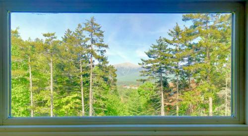 R7 Ski-in Ski-out Bretton Woods Townhome on 2-mile home trail Mt Washington views - image 6