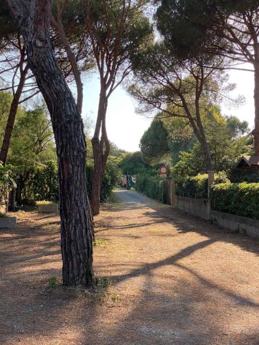 Appartamenti vacanze Marina di bibbona