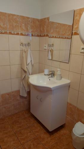 Pension U Štěpánků - image 11