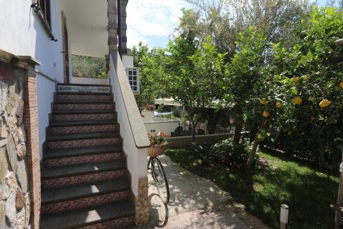 Villa il Cacciatore - image 7