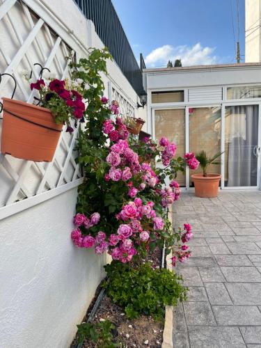 Hotels Image