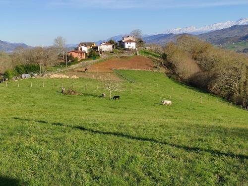 Surrounding environment, El Mirador de Sorribes in Pilona