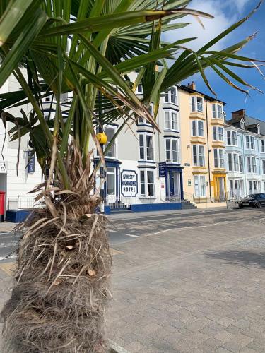 Richmond Hotel - image 11