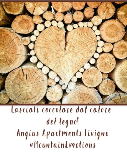 Angius DG Apartments Livigno