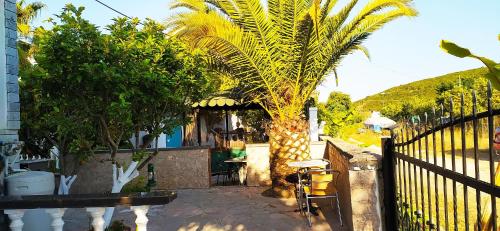 Garden, Aspri Villa in Ammoudia