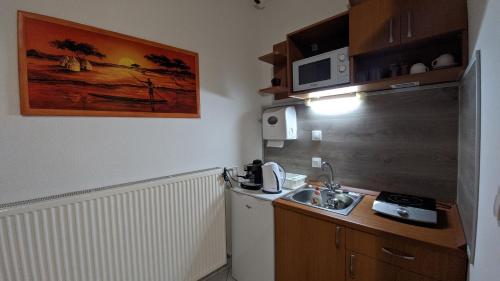 Central Apartman - main image