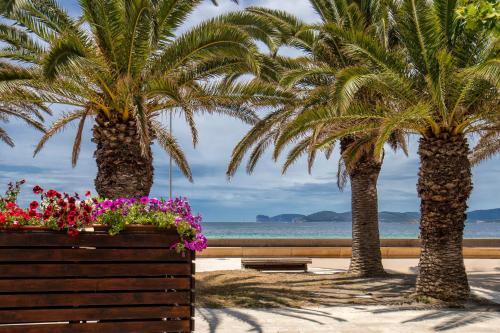 Appartamento degiorgio8