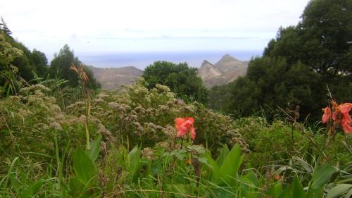Billstone House, St Helena Island