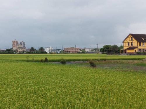 Caspia home stay - 주변 환경