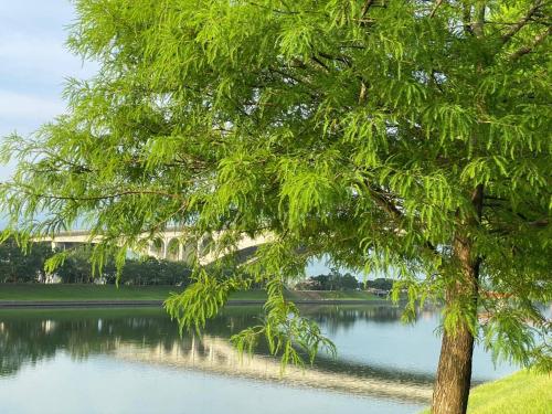 Caspia home stay - 주변 환경